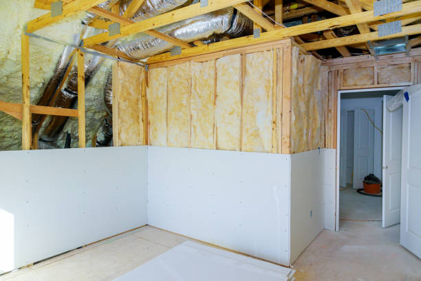 Best Geographic-Specific Insulation Services in Le Claire, IA