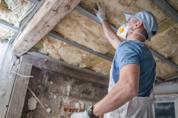Professional Insulation Contractor in Le Claire, IA