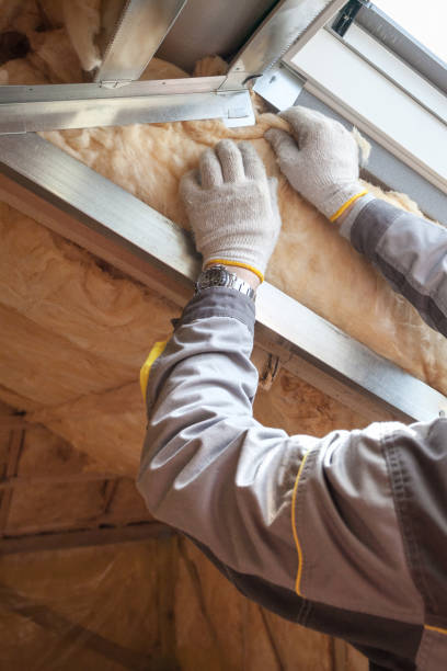 Best Spray Foam Insulation in Le Claire, IA