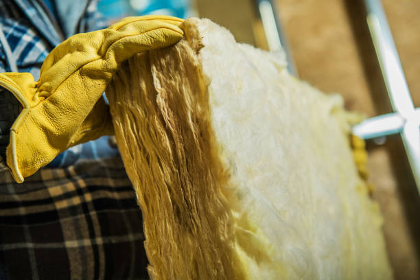 Best Blown-in Insulation in Le Claire, IA